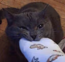 CE_Feet emote