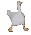 DuckDance emote