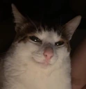 evil emote
