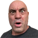 Rogan_WUT emote