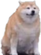 doggee emote