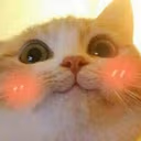 CE_Blush3 emote