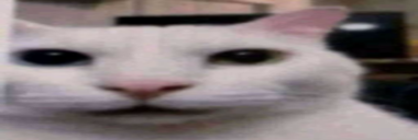 Eh static emote