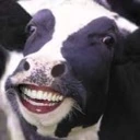 Smiling_cow emote