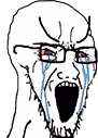 soyjak_crying emote
