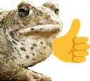 ToadOk emote