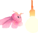 mothHype emote