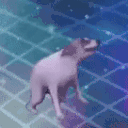 dogJAM animated emote