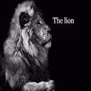Lion emote