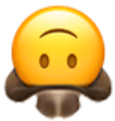 UpsideDownCowboy emote