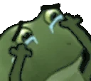 FrogeNOOOO emote