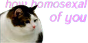 How_gay emote