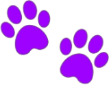 purple emote