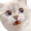 NanaScared emote