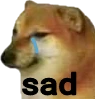 sad_doge emote