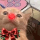waa emote