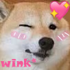 dog_wink emote