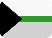 demiromantic_flag emote