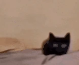 hewwo emote
