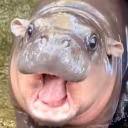 MoodengPOG emote
