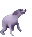 dogeDance emoji