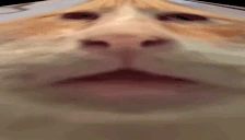 IMLOST emote