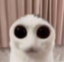 DOYOUFEELTHEWEIGHTOFYOURSINSDOESITHURTDOESGODSJUDGEMENTFILLYOUWI emote