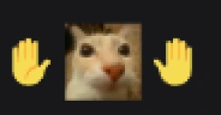 yonovoyadecirlo emote