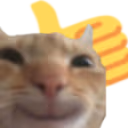 catthumbsup emote