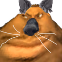 kociak emote