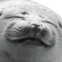 sealSmile emote