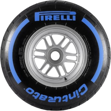 Wet_Tyre_F1 static emote
