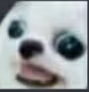 wtf emote