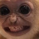 MonkeyStare emote