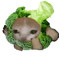 Broccatrun emoji