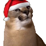 christmas_floppa_yes emote