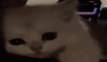rasstroenblin emote