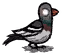 Dont_Starve_Pigeon emote