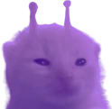vlorp emote