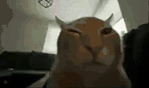 fullkekw emote