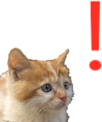 kittenExclamation emote