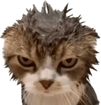 Wet_Cat_Tongue emote