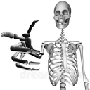 skull_point static emote
