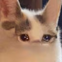 CE_UglyCry emote
