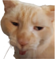 fenathan emote