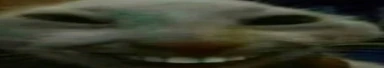 xdddddd emote