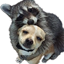 huggies static emote
