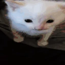 funny emoji