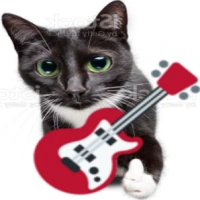 guitarcat emote