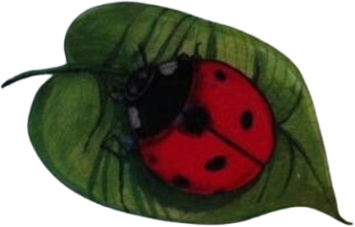 ladybug_leaf static emote